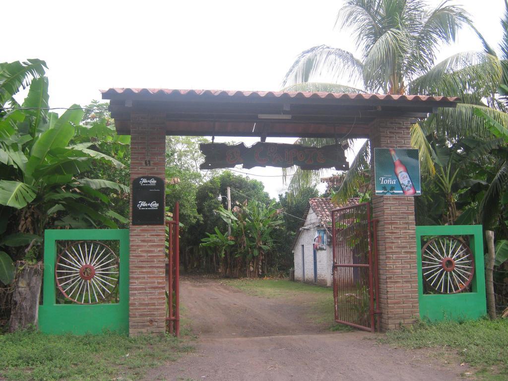 Отель El Mirador Ecologico, Ometepe Альтаграсия Экстерьер фото