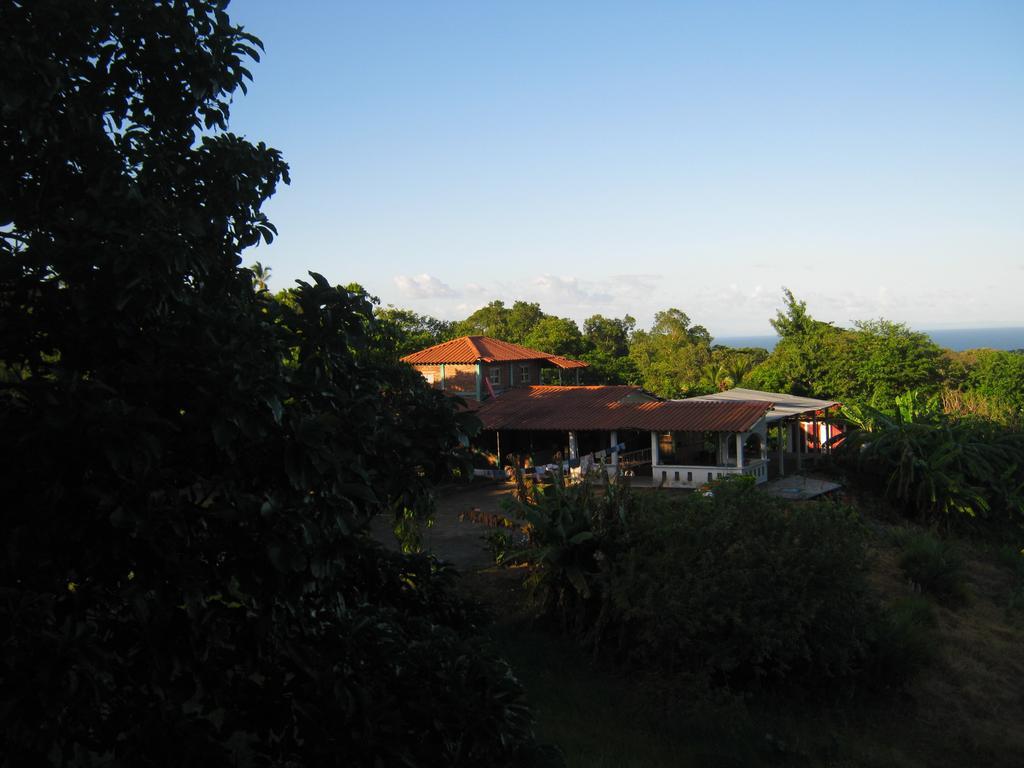 Отель El Mirador Ecologico, Ometepe Альтаграсия Экстерьер фото